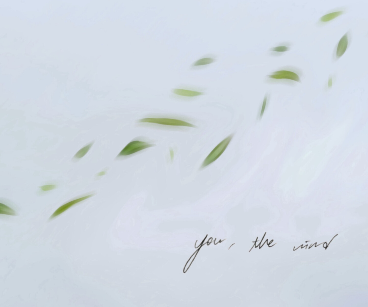you, the wind